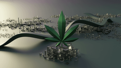 Ontario Cannabis Tax Systems
