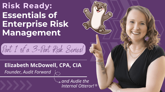 Risk Ready: Essentials of Enterprise Risk Management
