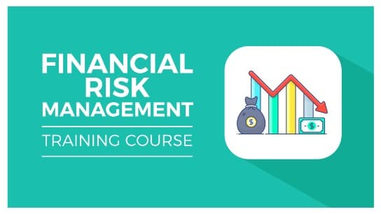 Financial Risk Management