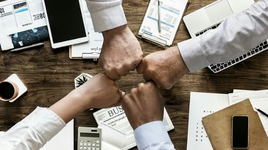 Canadian Income Tax: Common Issues for Accountants