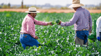 Farm Succession Planning Strategies