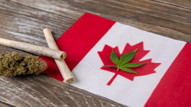 IC76 Cannabis