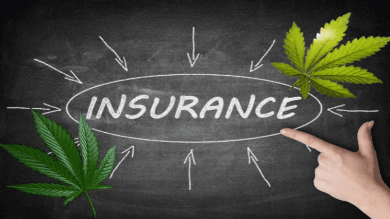 IC77 Cannabis and Insurance