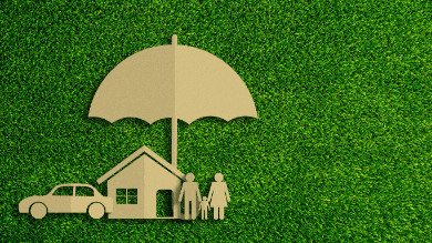 IC29 Umbrella Insurance